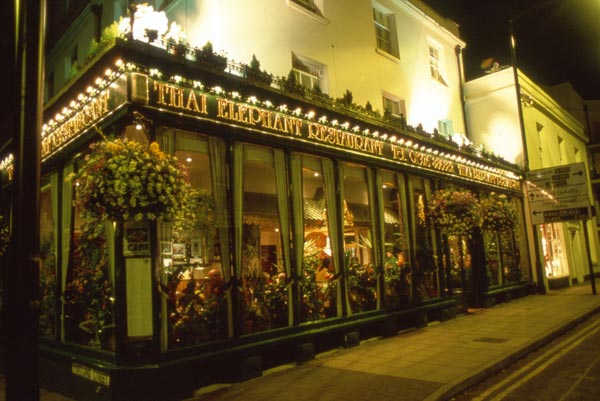 Thai Elephant Restaurant