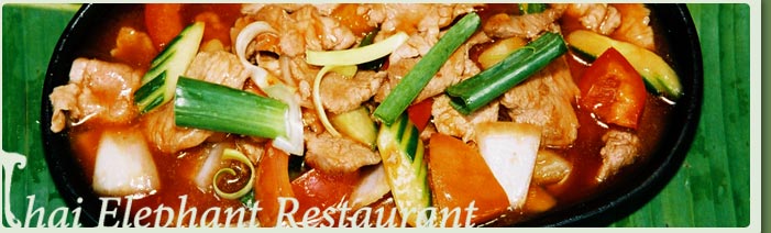 Thai Elephant Restaurant